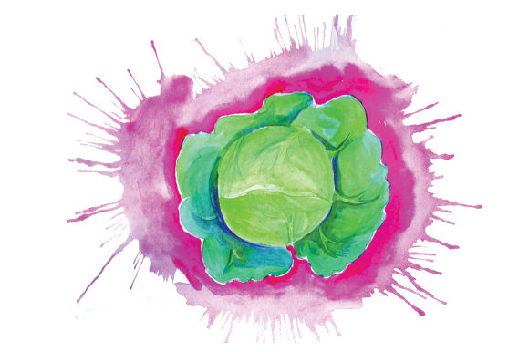 Cabbage in Watercolor Paint Splatter Style for Food Crafts