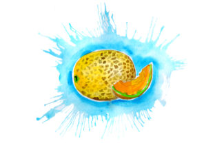 Cantaloupe Watercolor Splatter: Food Amp Crafts