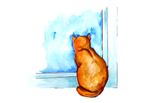 Cat Looking out Window in Watercolor Style: A Designer’s Review
