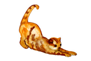 Cat Stretching in Watercolor Style for Cat Lovers' Crafts