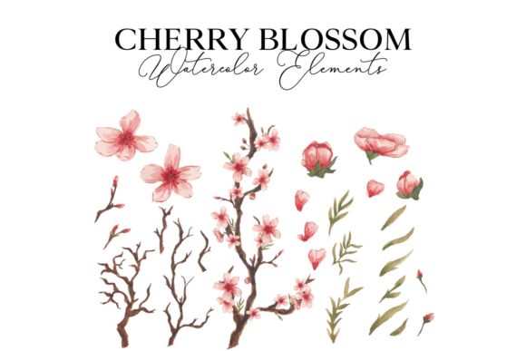 Cherry Blossom Watercolor: Elegant Graphics & Illustrations