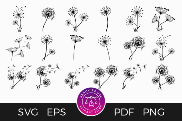 Dandelion Clipart Flower Set