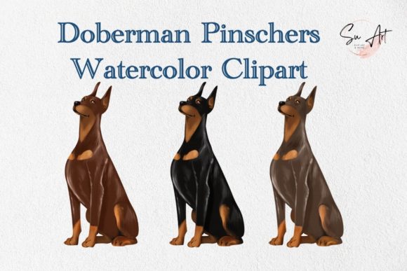 Doberman Watercolor Graphics for Illustrations