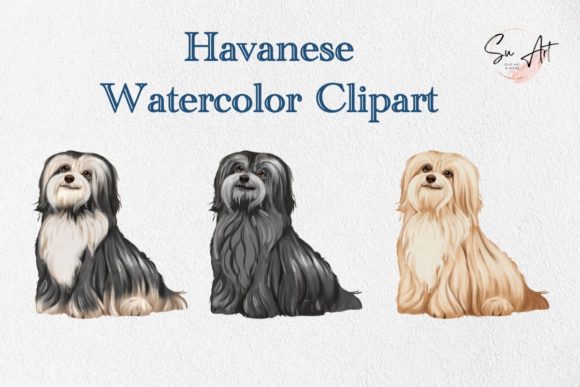 Havanese Dog Watercolor Clipart for Graphics & Illustrations