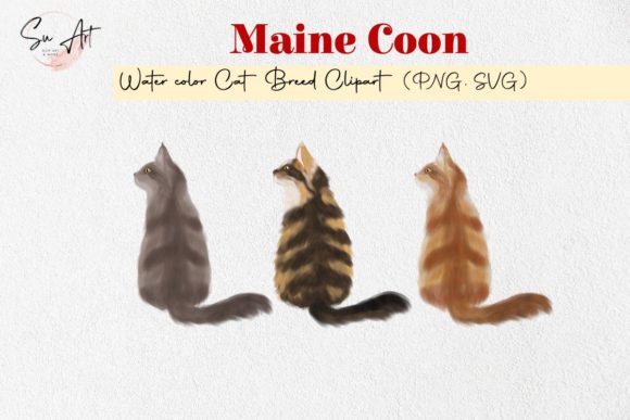 Main Coon Cat Breed Watercolor Graphics & Illustrations