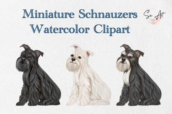 Miniature Schanauzer Dog Watercolor Graphics & Illustrations