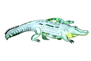Mom and Baby Alligators: Watercolor Animals for Crafts