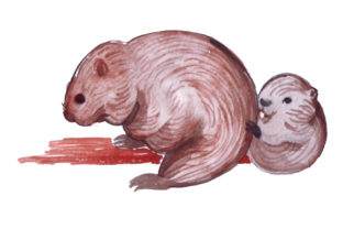 Mom and Baby Beavers Watercolor Animal Crafts
