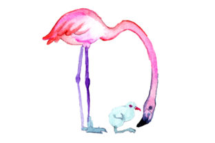 Mom and Baby Flamingos Watercolor Craft Design