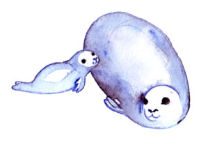 Mom and Baby Seals in Watercolor Style: Crafts & Animals