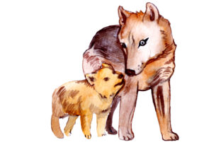 Mom and Baby Wolves in Watercolor Style: A Designer Review