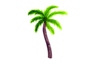 Palm Tree - Watercolor for Summer Crafts & Digital Products