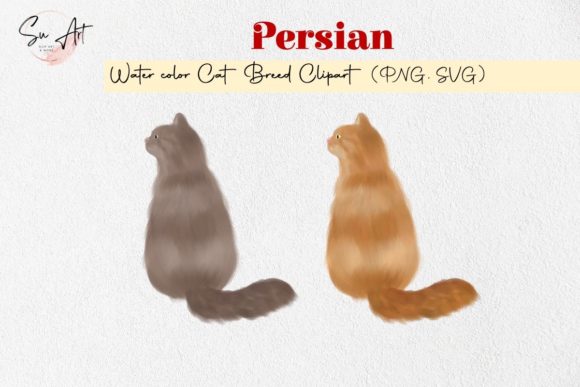 Persian Cat Breed Watercolor: An Embroidery Designer's Review
