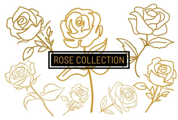 Rose Branches Vector Cutout: A Designer’s Embroidery Review