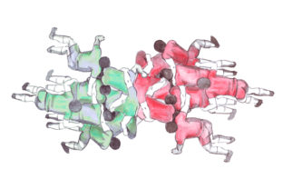 Rugby Scrum in Watercolor for Sports Crafts Projects