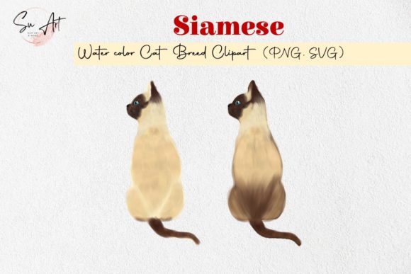 Siamese Cat Breed Watercolor Review: Graphics & Illustrations