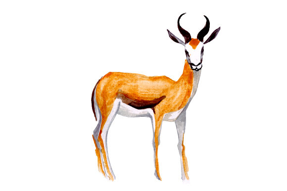 Springbok in Watercolor Style: A Stitcher’s Honest Review