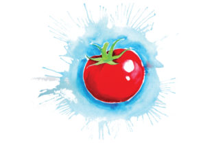 Tomato in Watercolor Paint Splatter Style