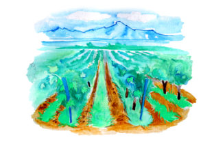 Vineyard in Watercolor Style for Wine & Crafts Branding