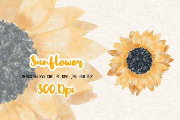 Watercolor-Sunflower Graphics: Brand-Ready Illustrations