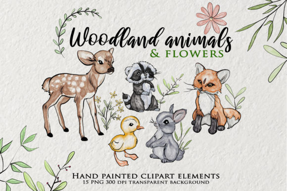 Watercolor Woodland Animals Clipart – Graphics & Illustrations Review