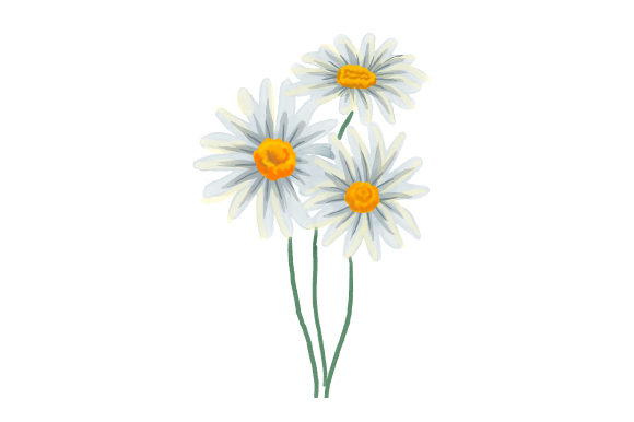 Watercolour Daisies: A Nature Amp Craft Asset Review